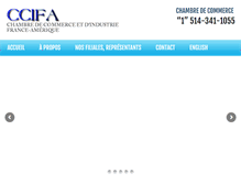 Tablet Screenshot of ccifa.com